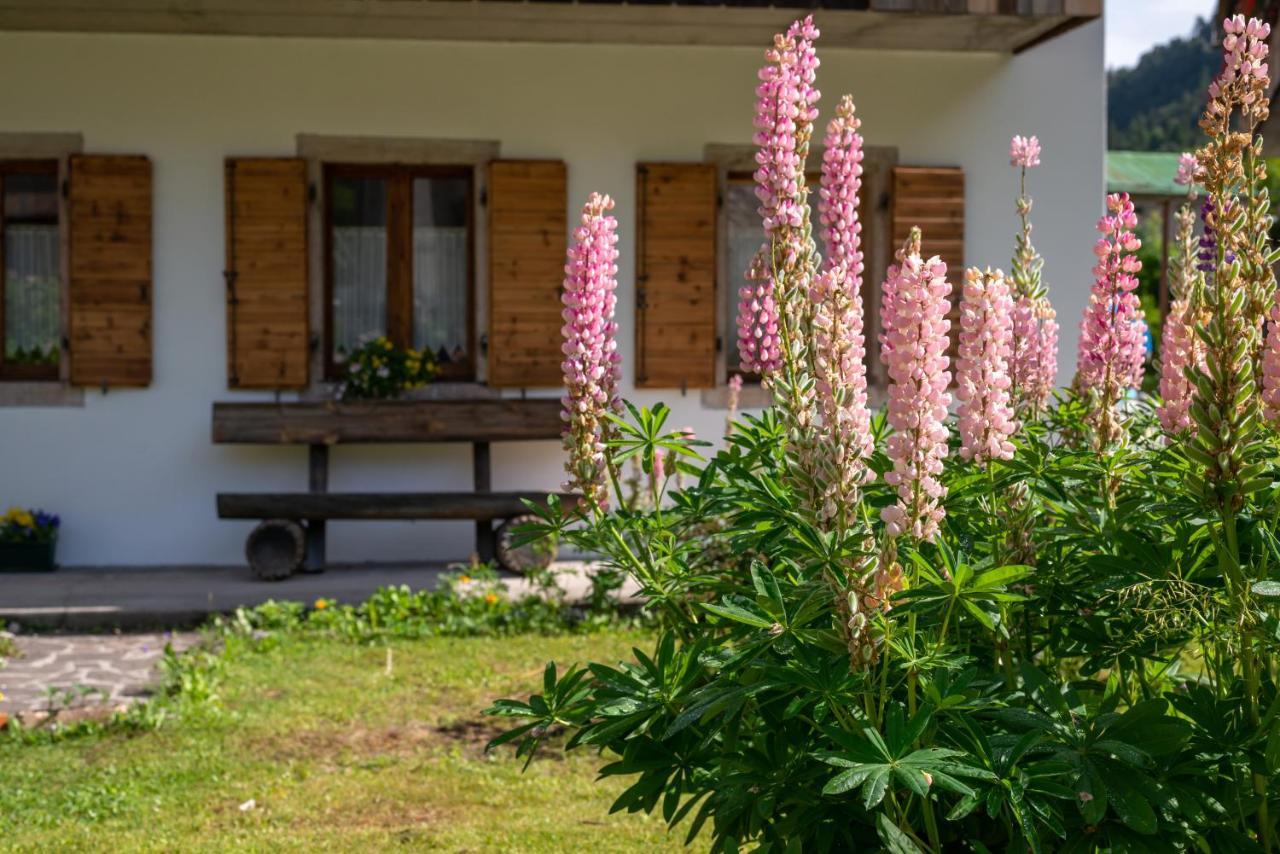 Perarolo di Cadore La Gerla Casa Vacanze Dolomiti מראה חיצוני תמונה